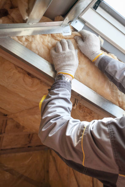 Best Insulation Installation Services in Lynden, WA